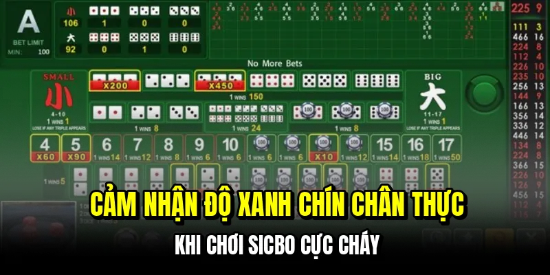 Sicbo - Chiến Thuật Thắng 8/10 Ván Cực Đỉnh Tại Sảnh C168 5 Cảm nhận độ xanh chín chân thực khi chơi sicbo cực cháy