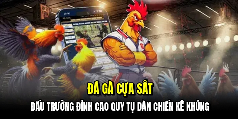 Đá Gà Cựa Sắt - Bí Kíp Đọc Kèo Chuẩn Xác Từ Sảnh Live C168 4 Đá gà cựa sắt - Đấu trường đỉnh cao quy tụ dàn chiến kê khủng